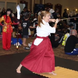 2022 American Hero Karate Championships | Texas Sport Karate News 2022 American Hero Karate Championships | Texas Sport Karate News