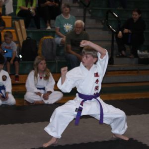 2025 Kata Wars | Texas Sport Karate News | Johnnie Murphy 2025 Kata Wars | Texas Sport Karate News | Johnnie Murphy